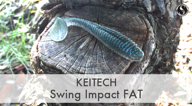 Swing Impact FAT　KEITECH